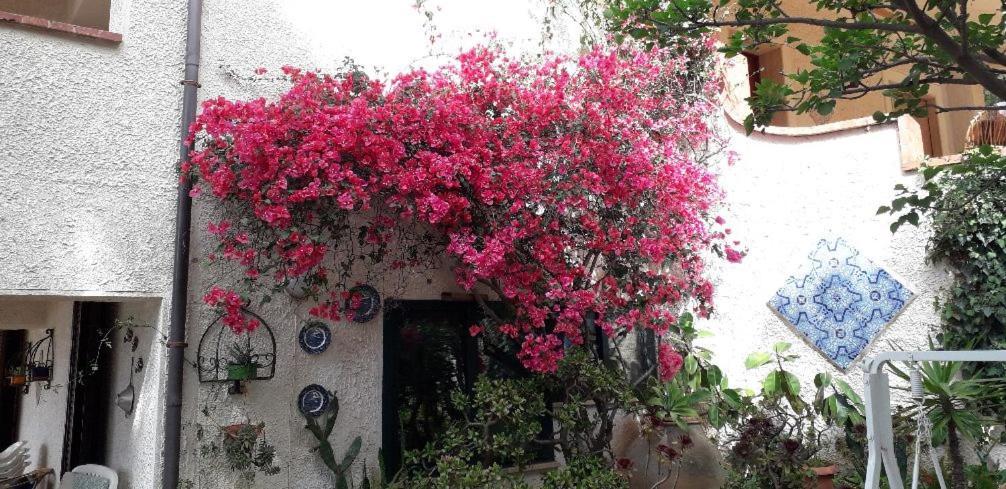 Holiday Home Cala Bianca Castellammare del Golfo Luaran gambar